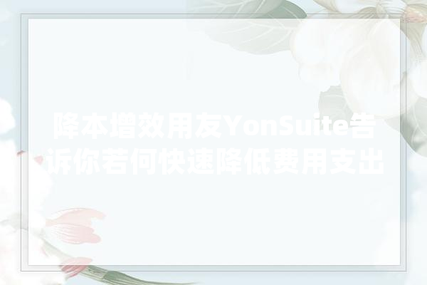 降本增效用友YonSuite告诉你若何快速降低费用支出！_费用_成本