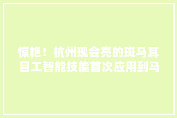 惊艳！杭州现会亮的斑马耳目工智能技能首次应用到马路上_斑马线_路段