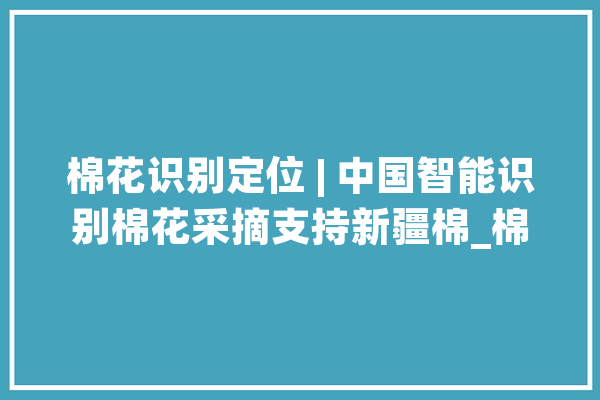 棉花识别定位 | 中国智能识别棉花采摘支持新疆棉_棉花_图像