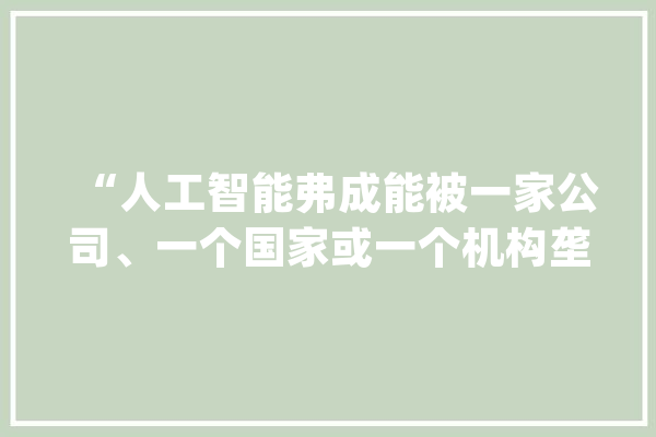 “人工智能弗成能被一家公司、一个国家或一个机构垄断”_人工智能_美国 智能问答