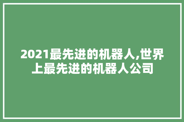 2021最先进的机器人,世界上最先进的机器人公司 智能助手