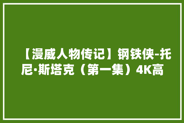 【漫威人物传记】钢铁侠-托尼·斯塔克（第一集）4K高清_托尼_麻省理工 文字写作