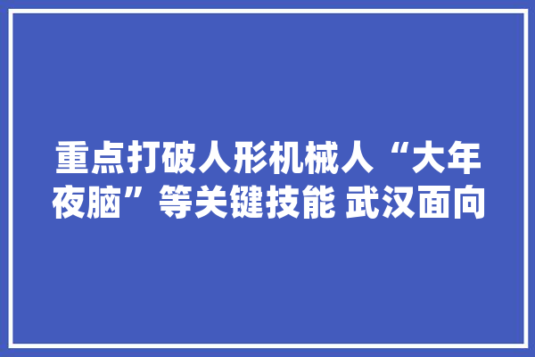 重点打破人形机械人“大年夜脑”等关键技能 武汉面向全球招聘未来家当合资人_将来_量子 智能助手