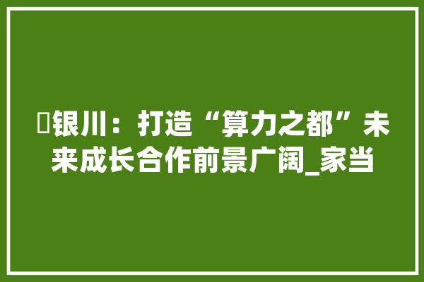 ​银川：打造“算力之都”未来成长合作前景广阔_家当_银川市
