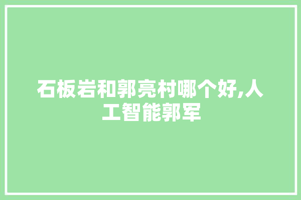 石板岩和郭亮村哪个好,人工智能郭军 文字写作