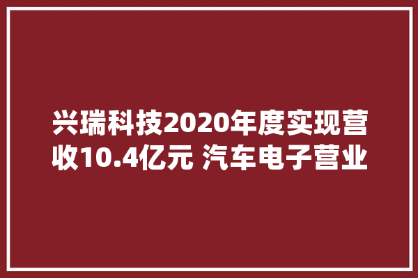 兴瑞科技2020年度实现营收10.4亿元 汽车电子营业成新增长点_新能源_智能