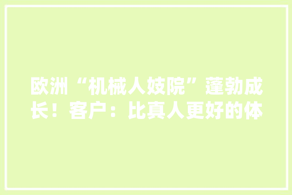 欧洲“机械人妓院”蓬勃成长！客户：比真人更好的体验_倡寮_机械人