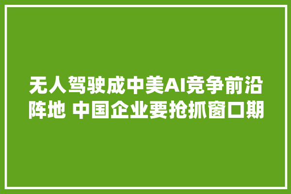 无人驾驶成中美AI竞争前沿阵地 中国企业要抢抓窗口期_无人驾驶_特斯拉