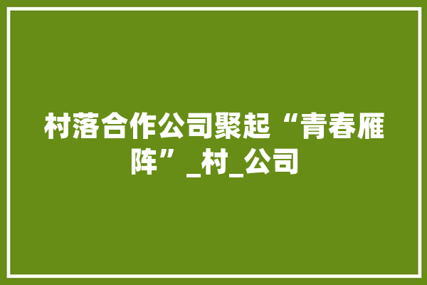 村落合作公司聚起“青春雁阵”_村_公司