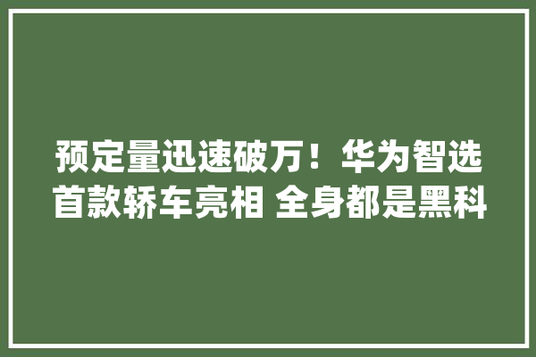 预定量迅速破万！华为智选首款轿车亮相 全身都是黑科技！_座舱_智能