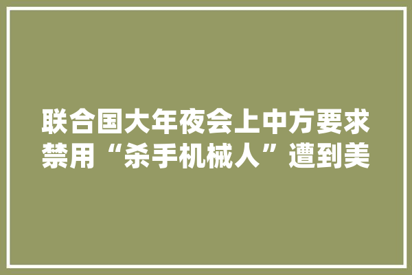 联合国大年夜会上中方要求禁用“杀手机械人”遭到美俄印一致否决_机械人_这一 智能助手