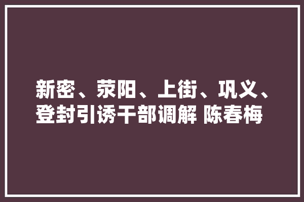 新密、荥阳、上街、巩义、登封引诱干部调解 陈春梅 杨金军 陈耀宗 李兵 张东辉履新_书记_市委 智能写作
