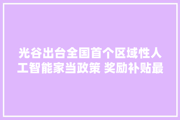 光谷出台全国首个区域性人工智能家当政策 奖励补贴最高可达1个亿_东湖_家当