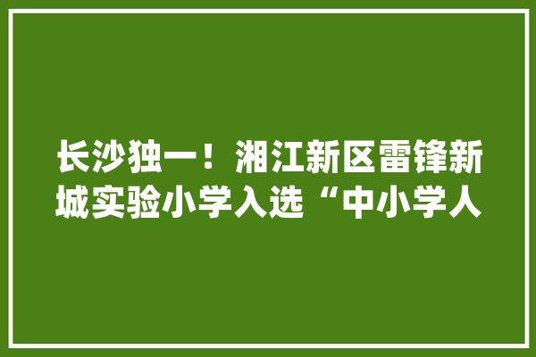 长沙独一！湘江新区雷锋新城实验小学入选“中小学人工智能教诲基地”_人工智能_教师