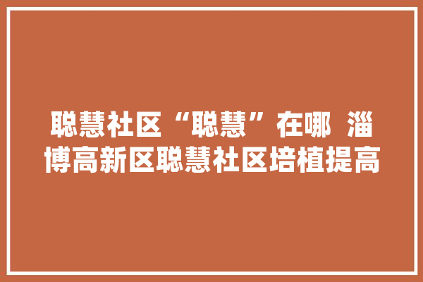 聪慧社区“聪慧”在哪  淄博高新区聪慧社区培植提高群众幸福感_社区_聪明 科技快讯