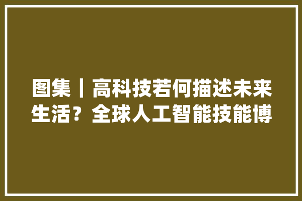 图集｜高科技若何描述未来生活？全球人工智能技能博览会来了_人工智能_全球