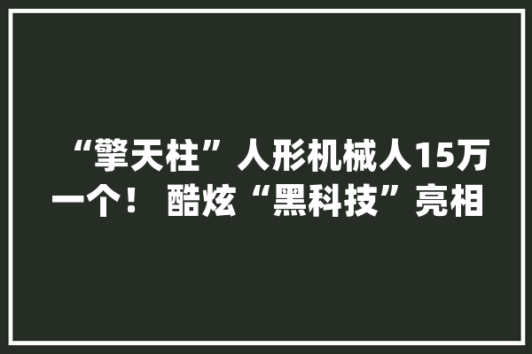 “擎天柱”人形机械人15万一个！ 酷炫“黑科技”亮相2023中国国际数字经济博览会_盘古_华为
