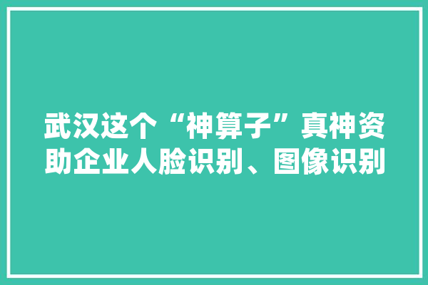 武汉这个“神算子”真神资助企业人脸识别、图像识别、语音识别……_武汉_人工智能