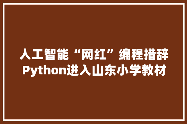 人工智能“网红”编程措辞Python进入山东小学教材_措辞_人工智能
