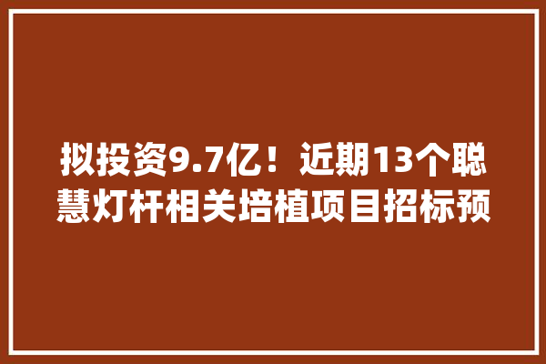 拟投资9.7亿！近期13个聪慧灯杆相关培植项目招标预告汇总_项目_聪明 文字写作