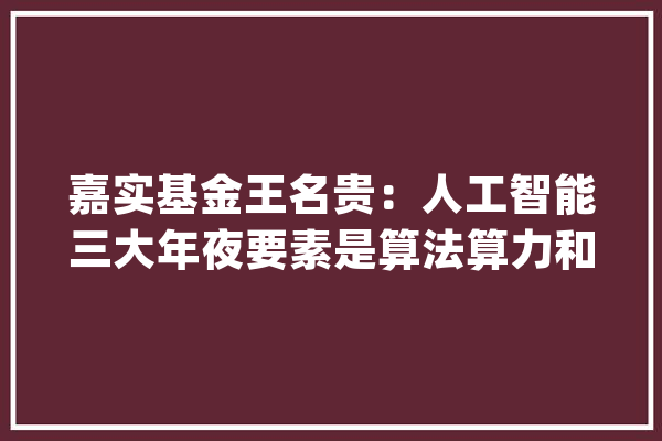 嘉实基金王名贵：人工智能三大年夜要素是算法算力和数据_珍贵_人工智能 计算机