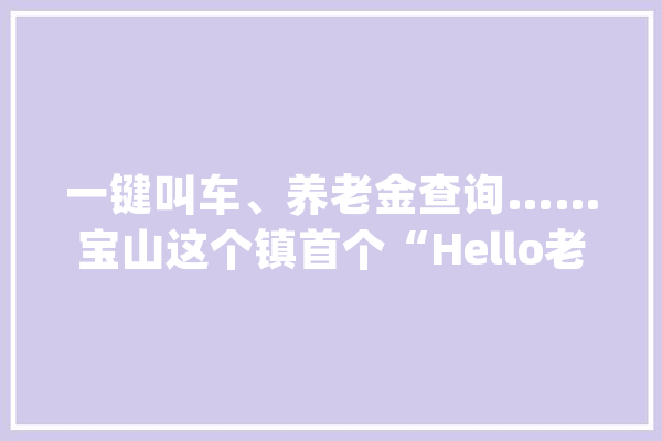 一键叫车、养老金查询……宝山这个镇首个“Hello老友亭”亮相街头_老友_一键 云服务