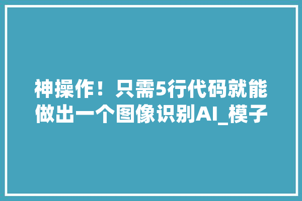 神操作！只需5行代码就能做出一个图像识别AI_模子_人工智能 文字写作