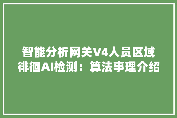 智能分析网关V4人员区域徘徊AI检测：算法事理介绍及技能应用场景_算法_人员