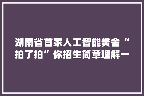 湖南省首家人工智能黉舍“拍了拍”你招生简章理解一下_株洲_专业