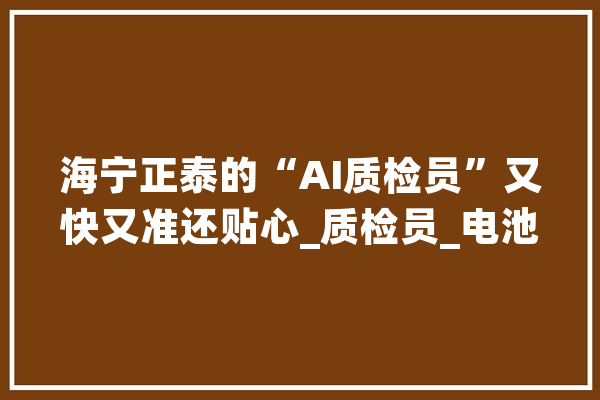 海宁正泰的“AI质检员”又快又准还贴心_质检员_电池