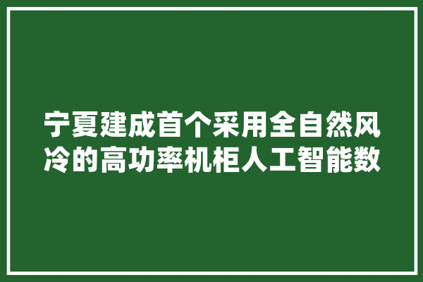 宁夏建成首个采用全自然风冷的高功率机柜人工智能数据中央_宁夏_人工智能