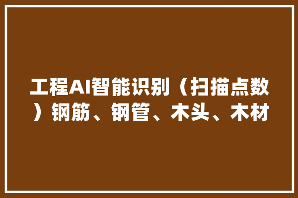 工程AI智能识别（扫描点数）钢筋、钢管、木头、木材数量对象推荐_水印_钢筋