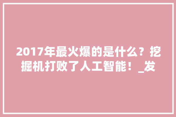 2017年最火爆的是什么？挖掘机打败了人工智能！_发掘机_水泥