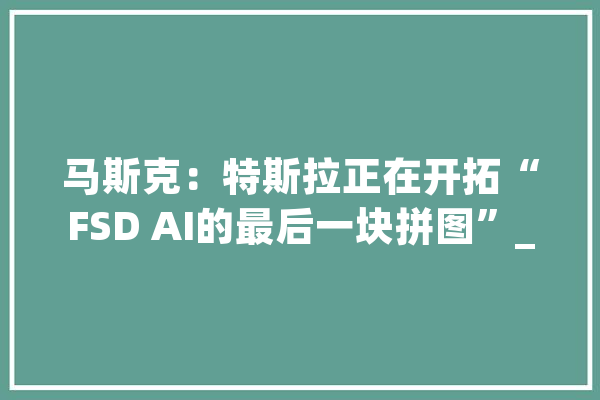 马斯克：特斯拉正在开拓“FSD AI的最后一块拼图”_特斯拉_完整