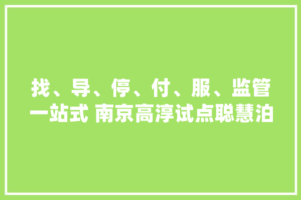 找、导、停、付、服、监管一站式 南京高淳试点聪慧泊车_高淳_聪明 智能问答
