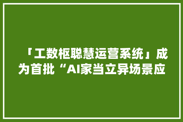 「工数枢聪慧运营系统」成为首批“AI家当立异场景应用案例”_家当_人工智能 云服务