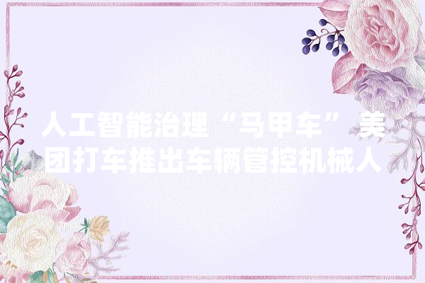 人工智能治理“马甲车” 美团打车推出车辆管控机械人_车辆_驾驶员 云服务