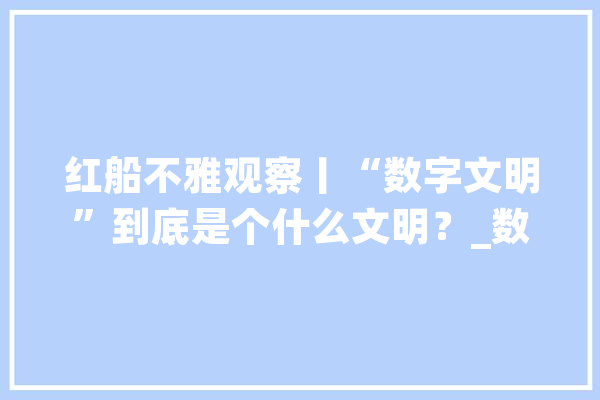 红船不雅观察丨“数字文明”到底是个什么文明？_数字_中国