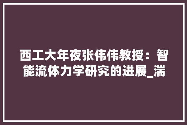 西工大年夜张伟伟教授：智能流体力学研究的进展_湍流_流体力学 科技快讯