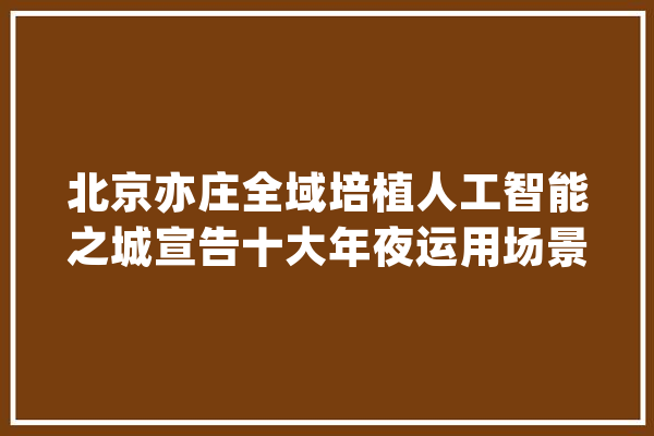 北京亦庄全域培植人工智能之城宣告十大年夜运用场景_人工智能_北京