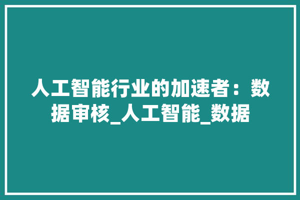 人工智能行业的加速者：数据审核_人工智能_数据 智能问答