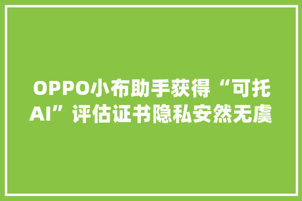 OPPO小布助手获得“可托AI”评估证书隐私安然无虞_助手_用户数