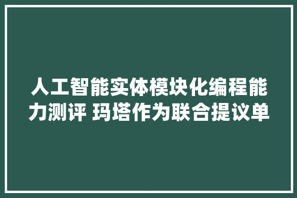 人工智能实体模块化编程能力测评 玛塔作为联合提议单位有何亮点_人工智能_实体