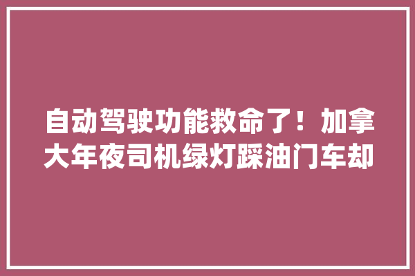 自动驾驶功能救命了！加拿大年夜司机绿灯踩油门车却不动下一秒吓呆_特斯拉_车主