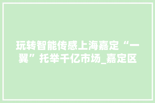 玩转智能传感上海嘉定“一翼”托举千亿市场_嘉定区_嘉定