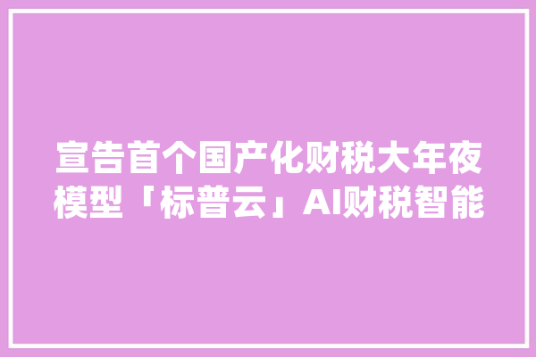 宣告首个国产化财税大年夜模型「标普云」AI财税智能体用户量已过万｜早期项目_财税_模子