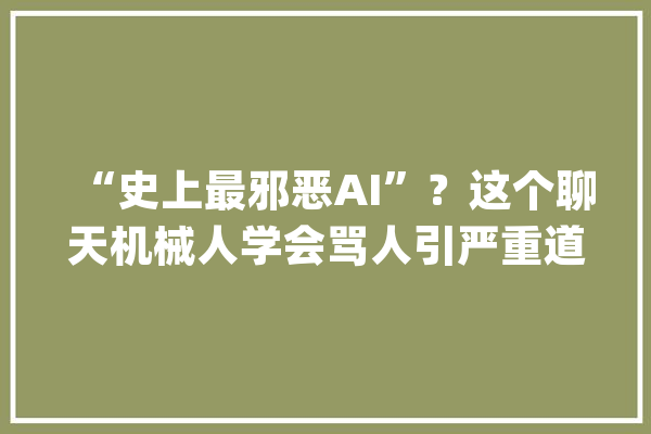 “史上最邪恶AI”？这个聊天机械人学会骂人引严重道德伦理争议_塞舌尔_机械人 智能助手