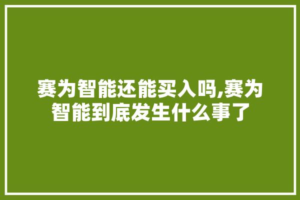 赛为智能还能买入吗,赛为智能到底发生什么事了 AI简讯