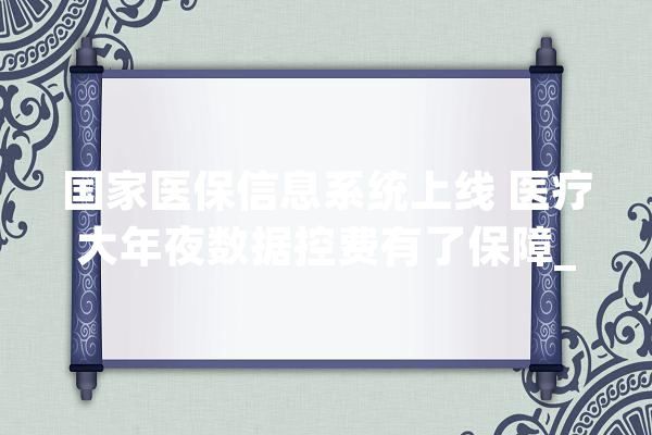 国家医保信息系统上线 医疗大年夜数据控费有了保障_医保_尺度 计算机