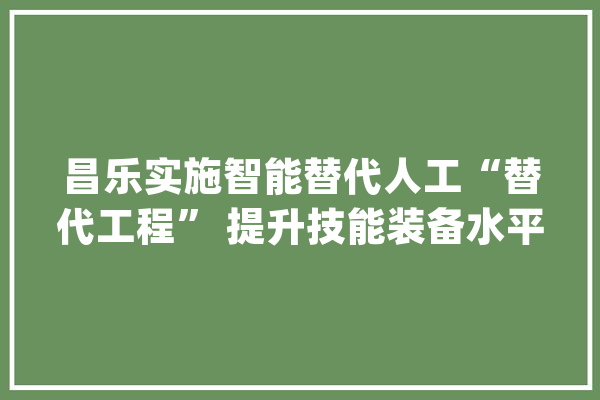 昌乐实施智能替代人工“替代工程” 提升技能装备水平_技巧_项目